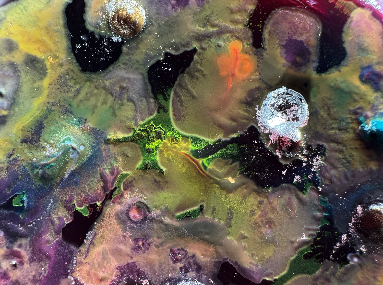 A close up image of Dasha's mould artwork