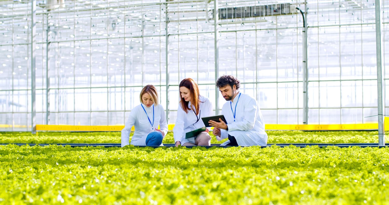 three people looking at plants in a large greenhouse