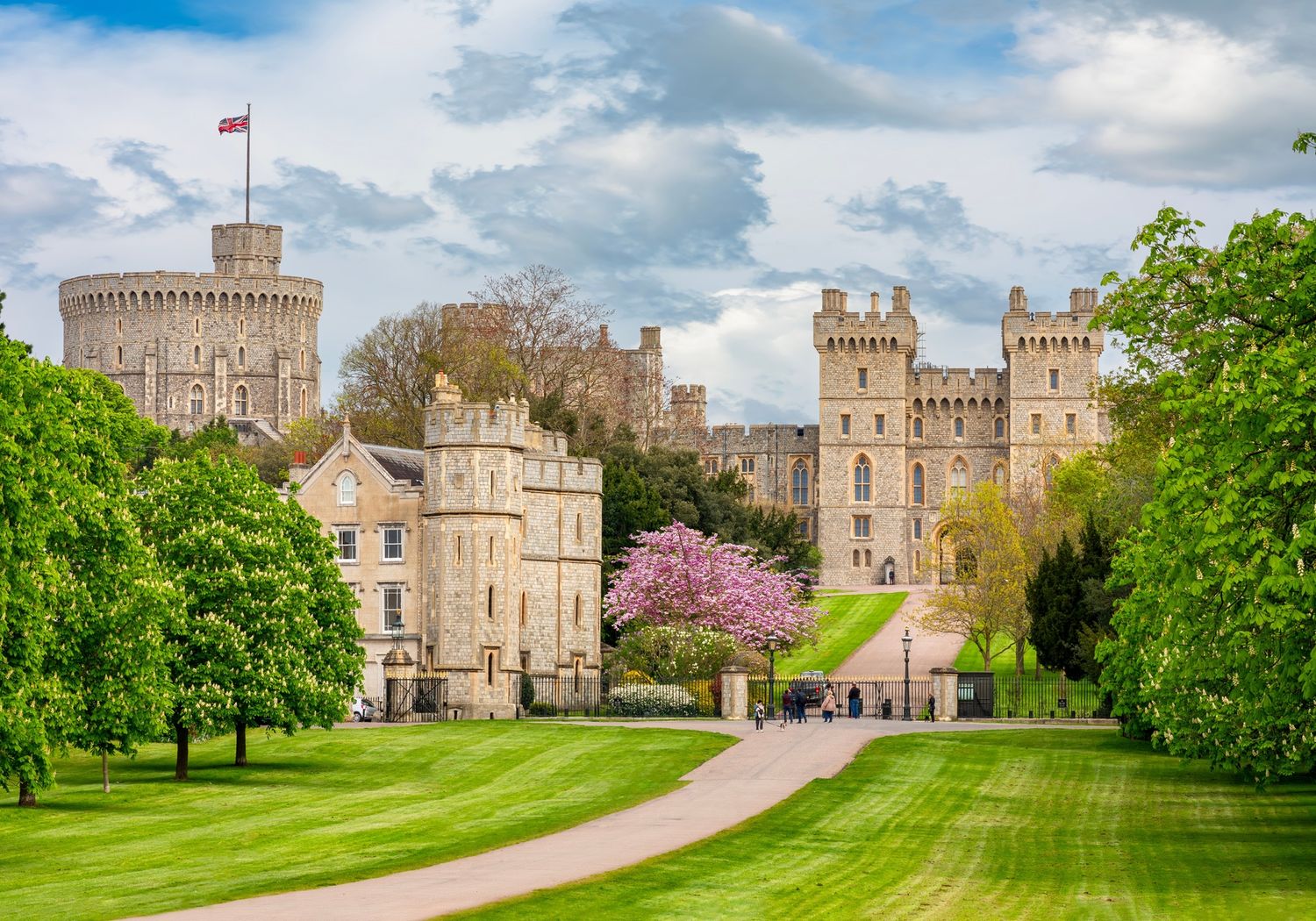 Windsor Castle exterior with grass and blossom tree